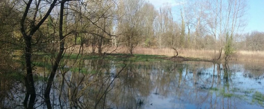 Site naturel du Moron